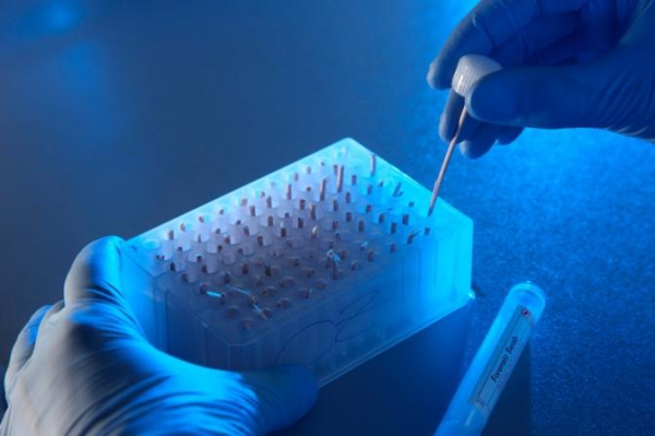 Ученые: обычный витамин способен замедлить рост раковых клеток