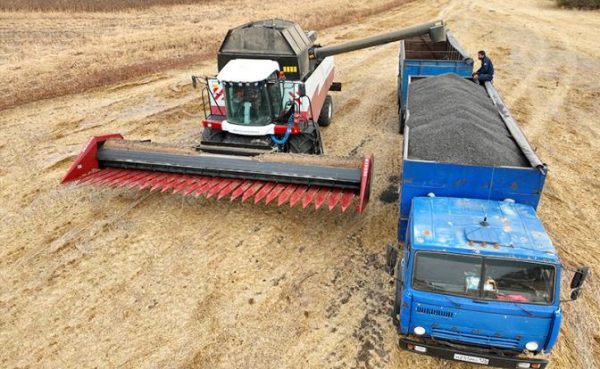 Запорожские фермеры пытаются достучаться до Кремля: «Владимир Владимирович, помогите, у нас все забирают…»