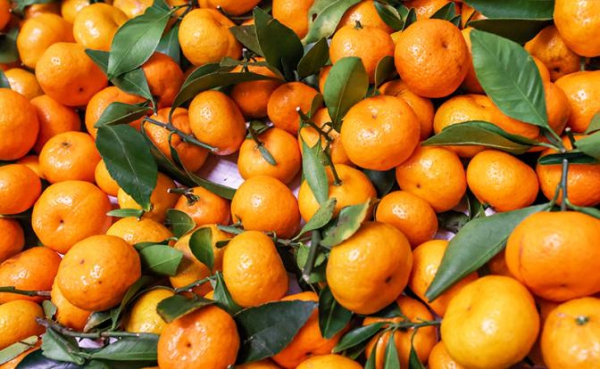 Скоро Новый год: озвучено допустимое количество мандаринов в день