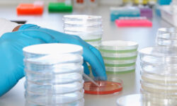 Российские ученые сняли на видео, как бьется сердце, выращенное из стволовых клеток