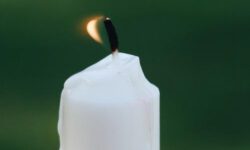 Легендарная телеведущая Светлана Жильцова ушла из жизни на 90 году жизни