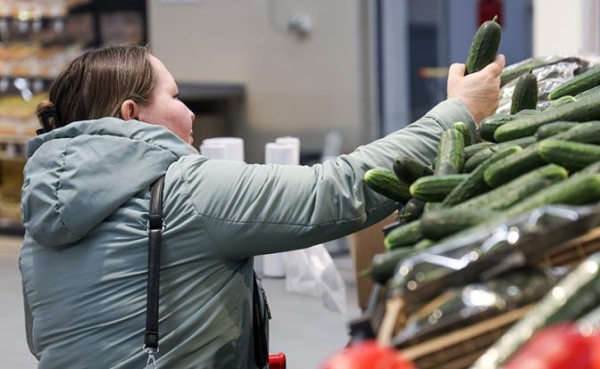 Стало понятно, почему огурец взбесился и продается по 1000 рублей за килограмм