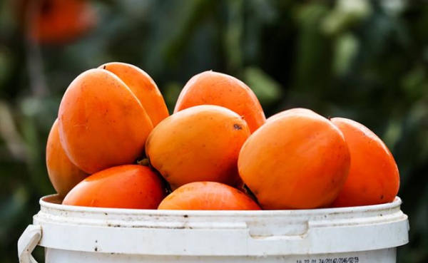 Названо опасное свойство хурмы