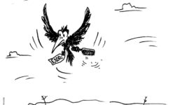 История одной массажной щетки для волос: Жизнь во время санкций