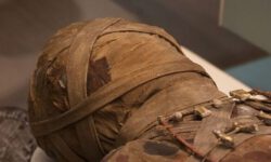 В мумии египетского мальчика нашли скрытый две тысячи лет назад секретный предмет