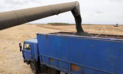 Конфликт в Заливе — это семечки. Кто выиграет от роста цен на продовольствие