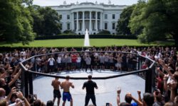 В UFC показали, как проходит подготовка к турниру в Белом доме