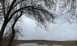Как нарисовать идеальный пейзаж: три совета художника для непрофи