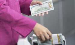 Выгодно торговле и потребителям: эксперт описал сценарии курса доллара до конца года