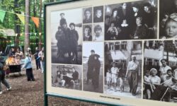 В Переделкине разожгли костер на поляне у дачи Чуковского