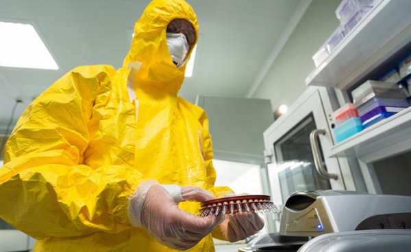 Новосибирская &laquo;живодерня&raquo; так ничему и не научила? С ветеринарией в России, похоже, покончили