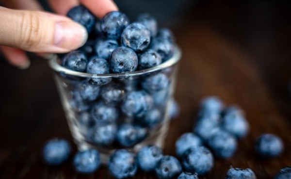 Офтальмолог опровергла устойчивое мнение о пользе черники для зрения Офтальмолог опровергла устойчивое мнение о пользе черники для зрения