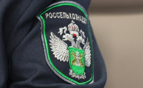 Россельхознадзор: Армения должна приостановить сертификацию рыбы для экспорта в РФ Россельхознадзор: Армения должна приостановить сертификацию рыбы для экспорта в РФ